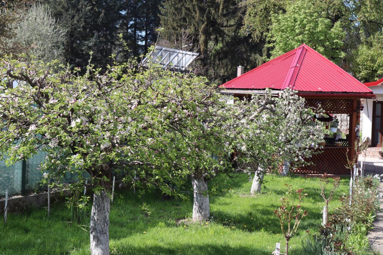 Accommodation Casa Luca Horezu Bagian luar foto